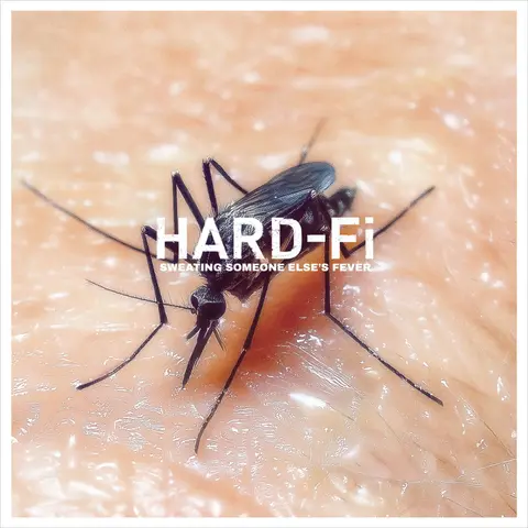 Sweating Someone Else S Fever