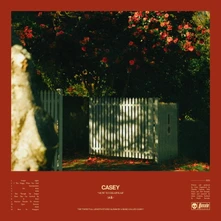 Casey, CD HOW TO DISAPPEAR