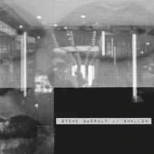 Steve Queralt, Vinyl SWALLOW