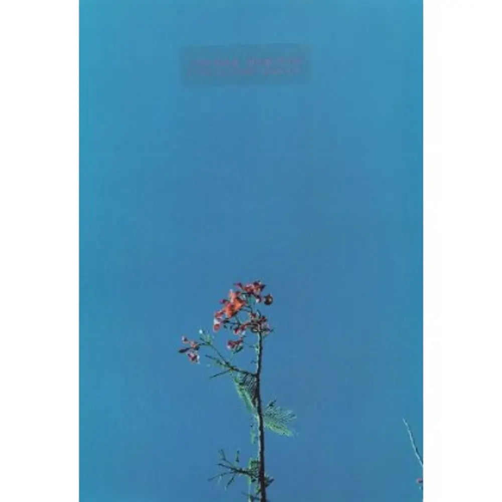 Joanna Newsom – NEWSOM, JOANNA - EP -3TR- (Vinyl)