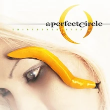 Vinyl THIRTEENTH STEP