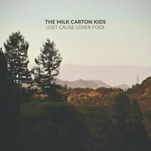 CD LOST CAUSE LOVER FOOL