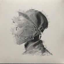 Vinyl GOLDEN AGE