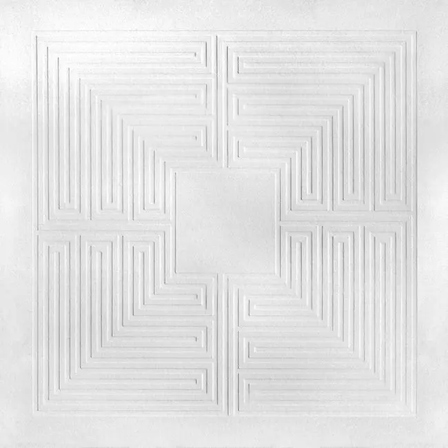 These New Puritans – HIDDEN (Vinyl)