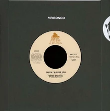 Vinyl MISDEMEANOR