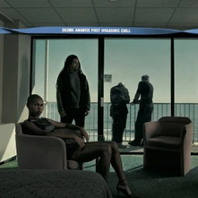 Skunk Anansie, CD Post Orgasmic Chill