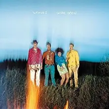 WIDE OPEN thumbnail