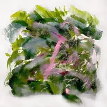 FOREST SCENES thumbnail
