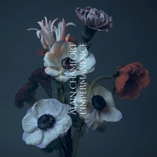 Vinyl L'IMPERMANENCE