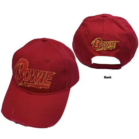 Flash Logo