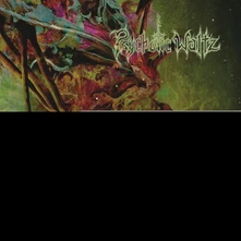 Psychotic Waltz, Vinyl Mosquito (Re-Issue 2024)