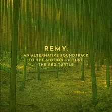 Remy van Kesteren, Vinyl RED TURTLE