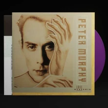 Vinyl LOVE HYSTERIA