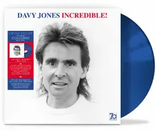 Davy Jones – INCREDIBLE! (Vinyl)
