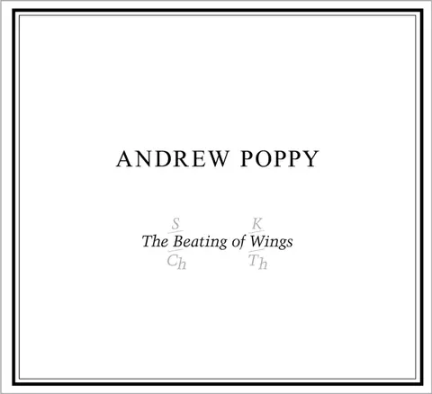 BEATING OF WINGS