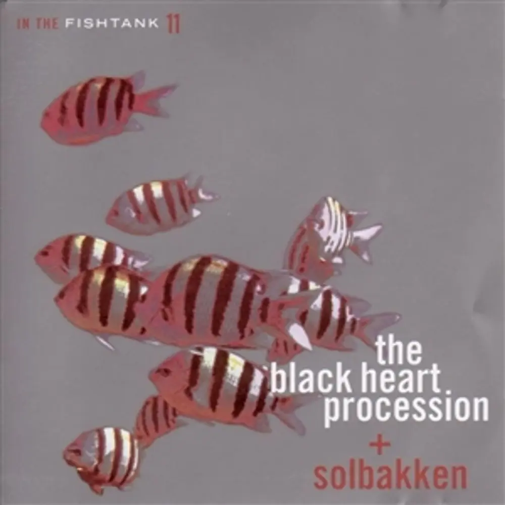IN THE FISHTANK (SILVER)