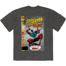 Web Of Spider-Man thumbnail
