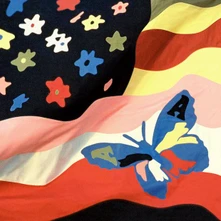 The Avalanches, Vinyl Wildflower