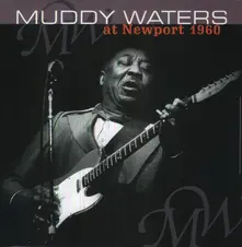 Vinyl AT NEWPORT 1960/ MUDDY WATERS SINGS BIG BILL