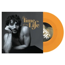 Vinyl THE TIME OF MY LIFE