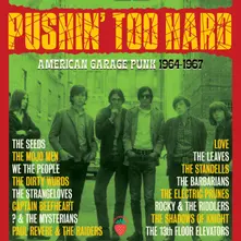 PUSHIN' TOO HARD - AMERICAN GARAGE PUNK 1964-1967 thumbnail