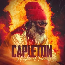 CD HEIGHTS OF FIRE