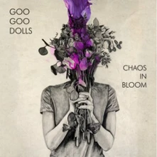 Goo Goo Dolls, Vinyl CHAOS IN BLOOM