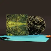 CD EVERYTHING ALL THE TIME