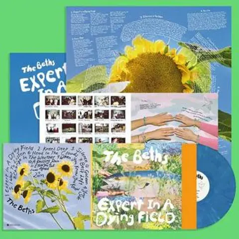 The Beths – Vinyl EXPERT IN A DYING FIELD