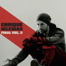 Vinyl Final vol.2