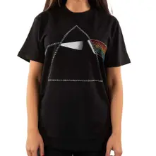 Dark Side of the Moon thumbnail