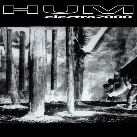 Hum – Vinyl ELECTRA 2000