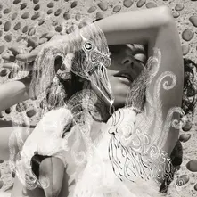 Vinyl VESPERTINE