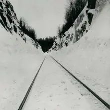 THIN PEAKS thumbnail