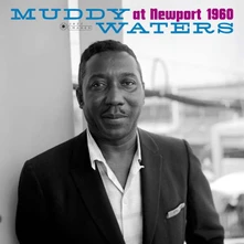 Muddy Waters, Vinyl AT NEWPORT 1960/ MUDDY WATERS SINGS BIG BILL