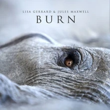 Lisa Gerrard, Vinyl Burn