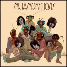 Vinyl Metamorphosis