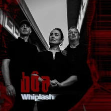 BOA, Vinyl WHIPLASH
