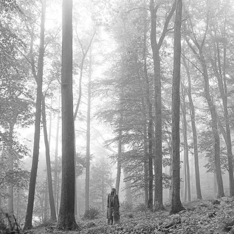 Folklore (Deluxe Edition) (In The Trees)