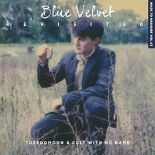 CD BLUE VELVET REVISITED