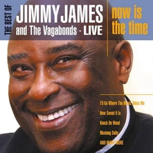 Jimmy James and the Vagabonds, CD THE BEST OF JIMMY JAMES & VAGABONDS LIVE - NOW IS THE TIME