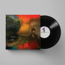 Sharon Van Etten, Vinyl WE'VE BEEN GOING ABOUT THIS ALL WRONG