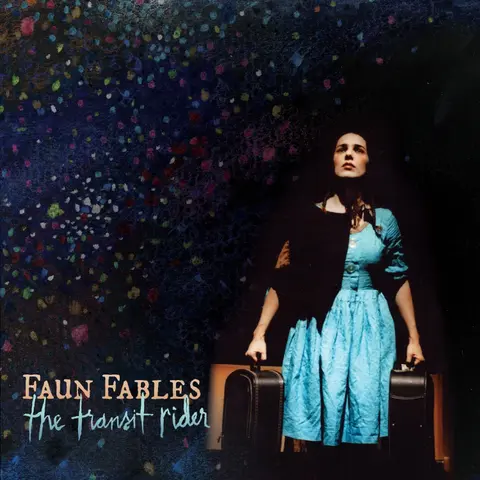 TRANSIT RIDER