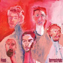 Pond, CD TERRESTRIALS