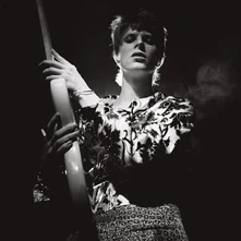 David Bowie, Vinyl Rock'n'roll Star (Half-Speed Mastered Edition)