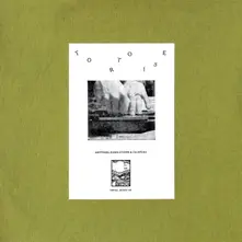 Vinyl Tortoise - Rhythms, Resolutions & Clusters