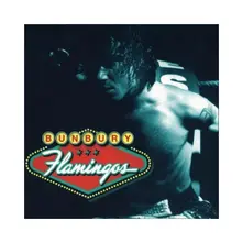 BUNBURY - FLAMINGOS (2024) (Vinyl)