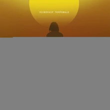 Vinyl Subsonica - Microchip Temporale
