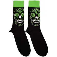 Skull thumbnail