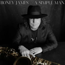 Vinyl A SIMPLE MAN